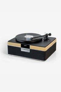 THE+RECORD PLAYER